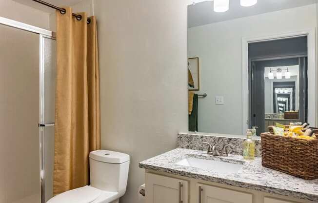 a bathroom with a toilet sink mirror and shower