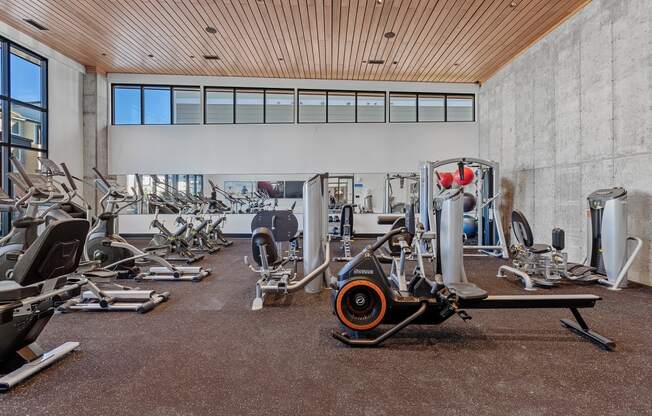 a gym with cardio machines and weights on the floor