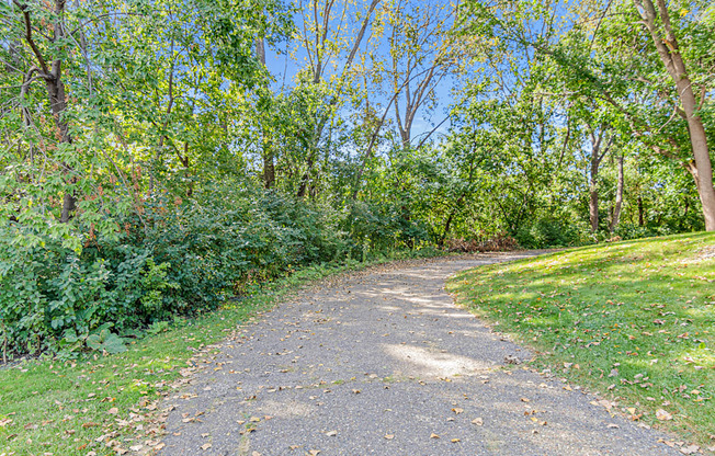 a dirt path in a park with trees