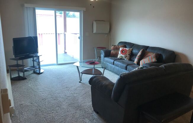 2 beds, 2 baths, 1,002 sqft, $1,475, Unit 205