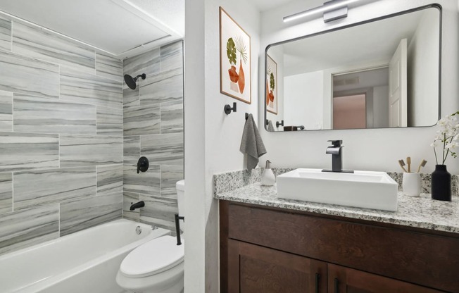 a bathroom with a sink and a mirror and a shower and a toilet