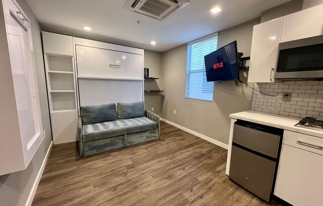 Studio, 1 bath, 257 sqft, $1,725, Unit 435-313