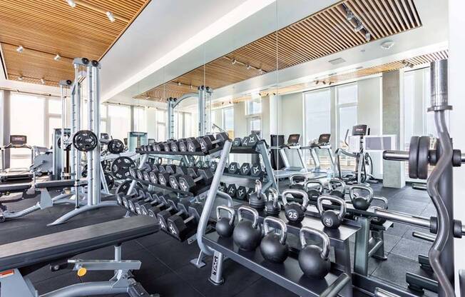 Club-quality equipment includes free weights and dumbbells as well as cardio