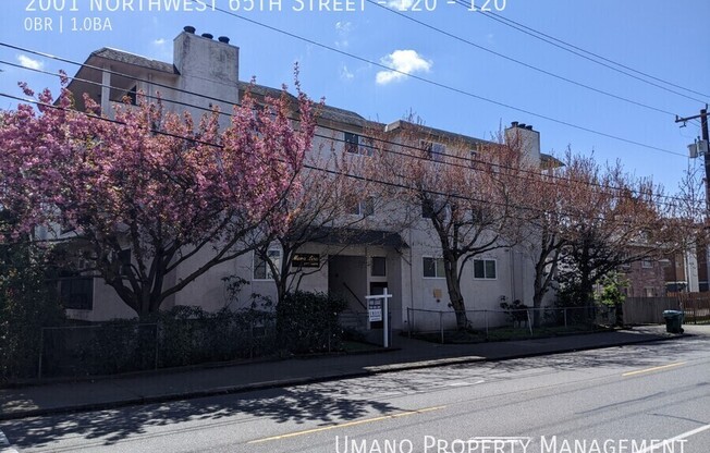 2001 NORTHWEST 65 ST