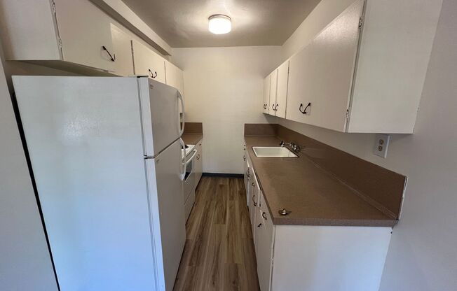 Studio, 1 bath, 305 sqft, $995, Unit 102