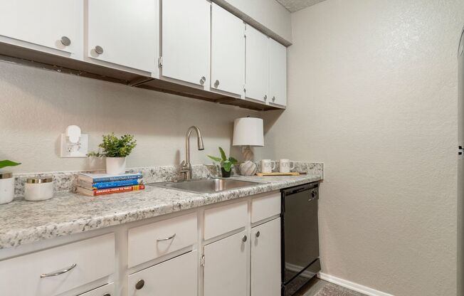 1 bed, 1 bath, 700 sqft, $849, Unit 205