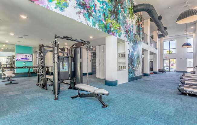 A gym with a variety of equipment including treadmills, weights, and a flat screen TV.