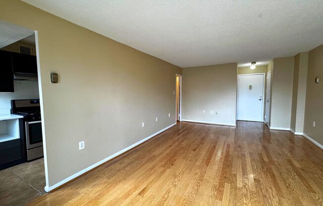 Modern Luxury Studio at Park Place | All Utilities Included