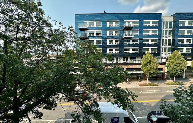 1 bed, 1 bath, 552 sqft, $2,025, Unit Unit 308