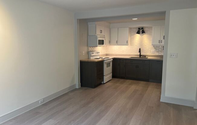 1 Month Free Rent!! - Newly Remodeled Condo on Capitol Hill