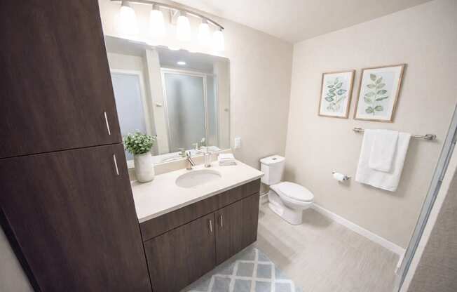 A bathroom with a toilet, sink, and mirror.