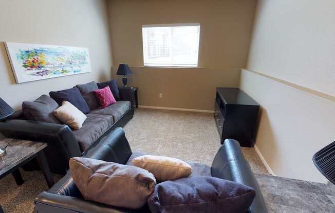 second living area, basement, couches