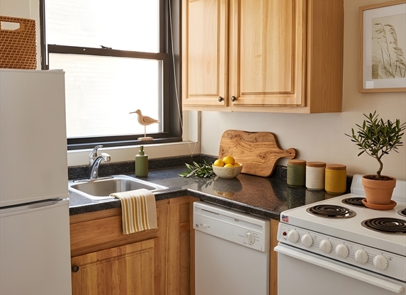 1 bed, 1 bath, 400 sqft, $2,600, Unit 304