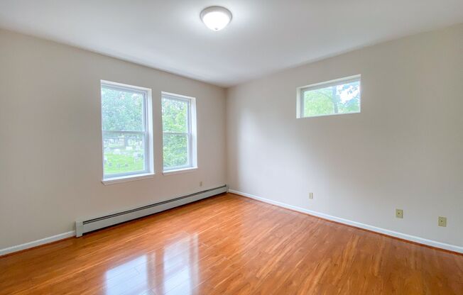 1 bed, 1 bath, $1,250, Unit 201