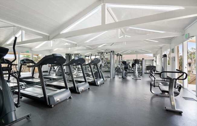 A gym with treadmills and elliptical machines.