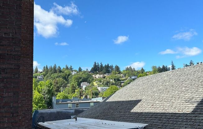 Studio, 1 bath, 430 sqft, $1,125, Unit 412