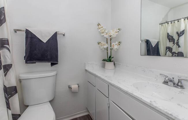 Studio, 1 bath, 468 sqft, $819