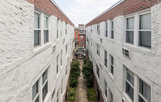 3412 Spring Partners LP