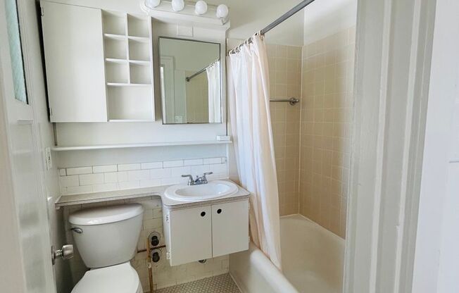 Studio, 1 bath, 241 sqft, $1,400, Unit 806