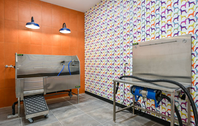 A kitchen with orange walls and a wallpapered wall.