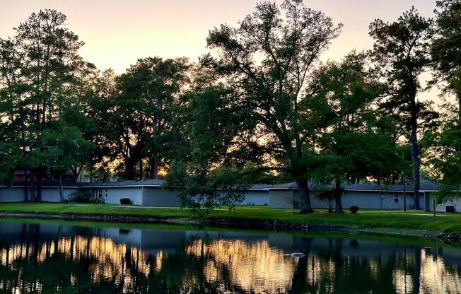 Addison Lane Apartments in Gainesville, Florida photo of beautiful lake in community