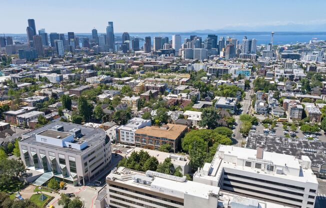 Studio, 1 bath, 483 sqft, $1,799, Unit 410