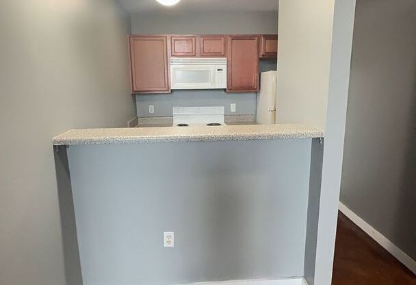 1 bed, 1 bath, 599 sqft, $1,153.6, Unit Apt. 204