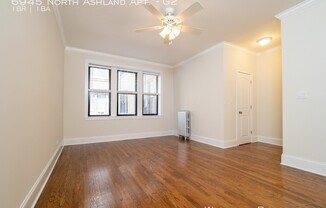 6945 North Ashland Apt.