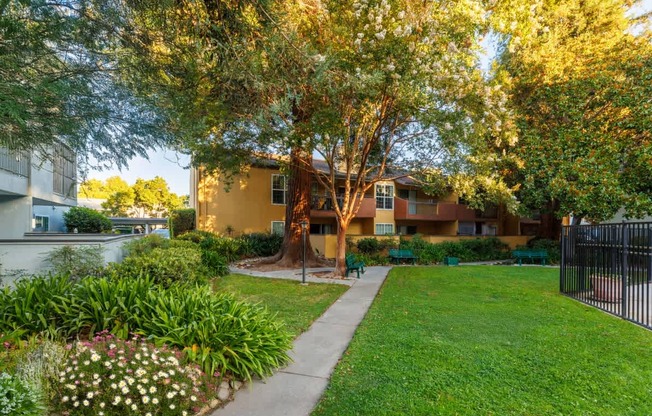 A tree with white flowers is in the foreground of a residential area.