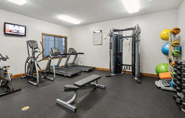 the gym with weights and cardio equipment at the apartments