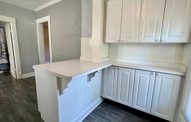 1133 Muskegon NW