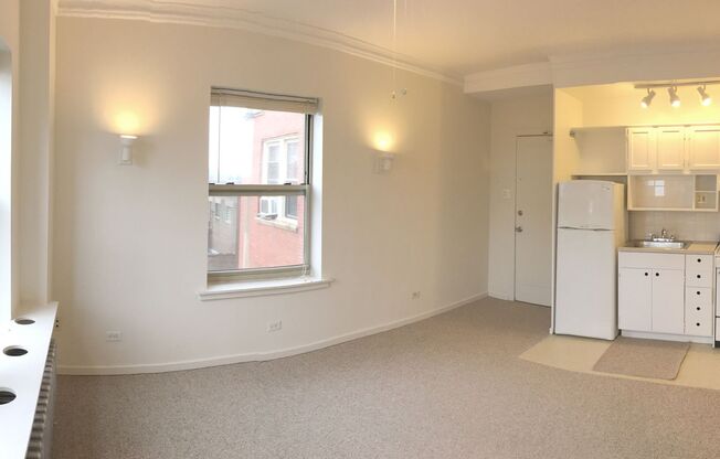 Studio, 1 bath, 233 sqft, $1,190, Unit 302