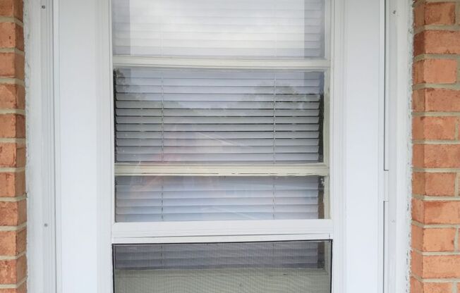 2 beds, 1 bath, 903 sqft, $1,250, Unit B-4