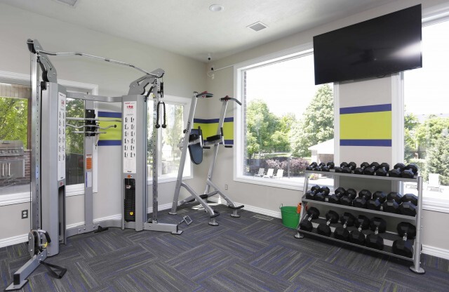 Smith machines, vertical abdominal machine, free weights, and flat screen television