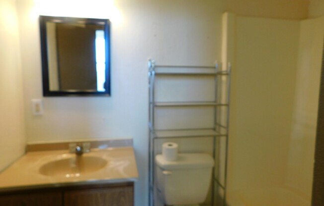 2 beds, 1 bath, $700, Unit 301