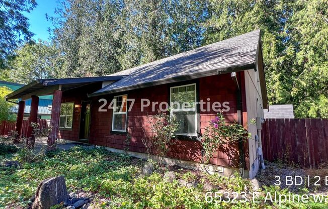 Mountain Cabin Home - 3BD 2BA in Rhododendron!