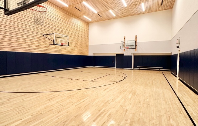 1 bed, 1 bath, $7,000, Unit 8B