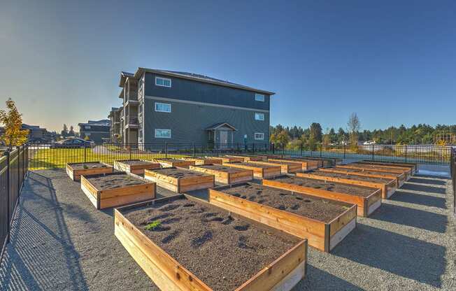 Community Garden at GATEWAY BY VINTAGE, Spanaway, 98387