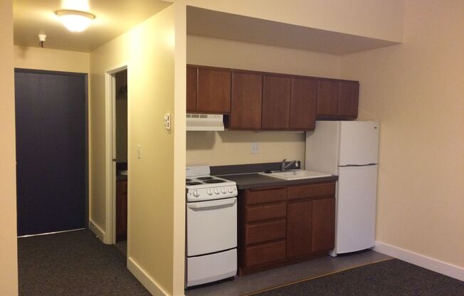 Studio, 1 bath, 285 sqft, $945, Unit 303