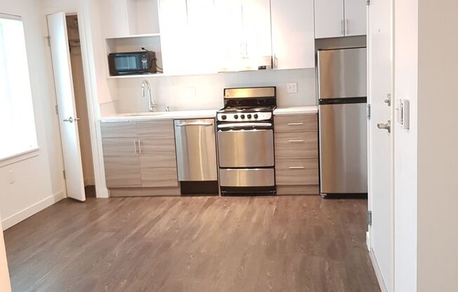 Studio, 1 bath, 336 sqft, $1,214, Unit 202 (MFTE)