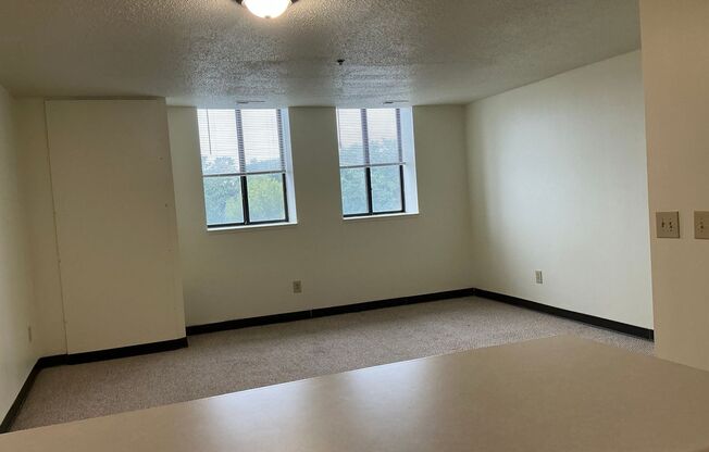 Studio, 1 bath, $950, Unit 804