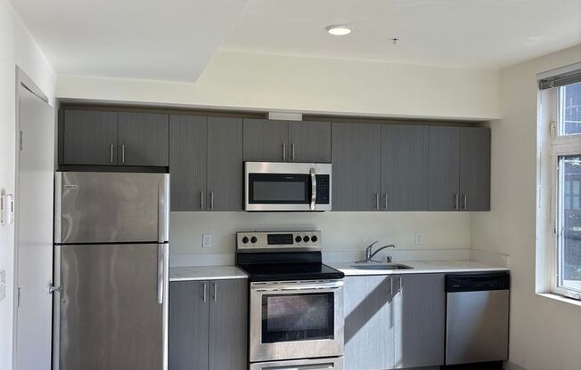 1 bed, 1 bath, 313 sqft, $1,195, Unit 307
