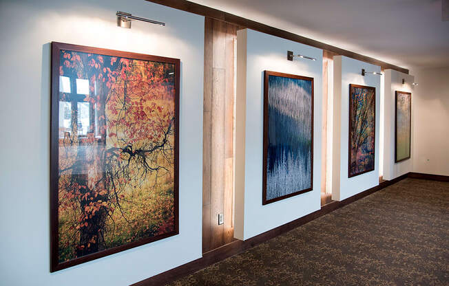 Beautiful Paintings at The Legends of Columbia Heights 55+ Living, Columbia Heights, Minnesota, 55421