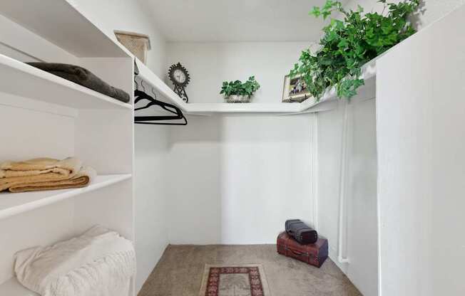 A small room with a hanging shelf and a rug on the floor.