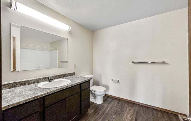 a bathroom with a sink toilet and a mirror