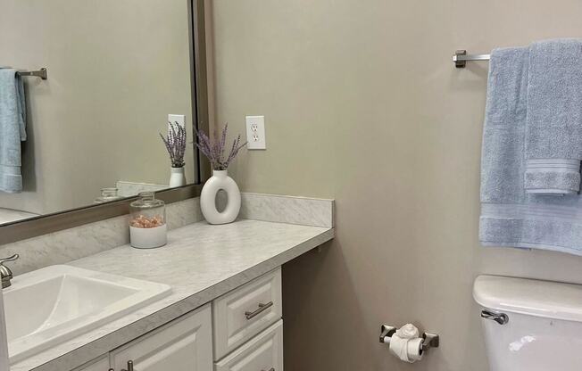 a bathroom with a toilet and a sink and a mirror