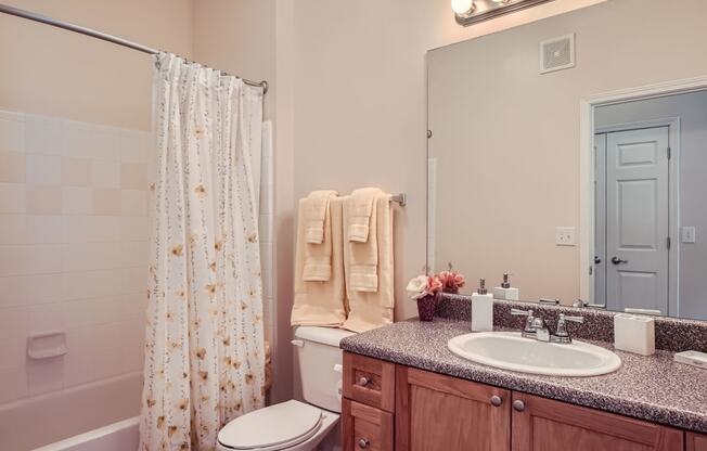 a bathroom with a shower toilet and sink and a mirror