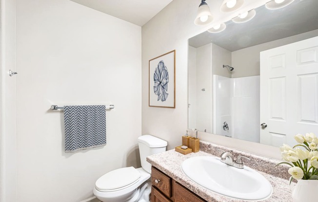Pine Tree Park, Kennewick Apartments