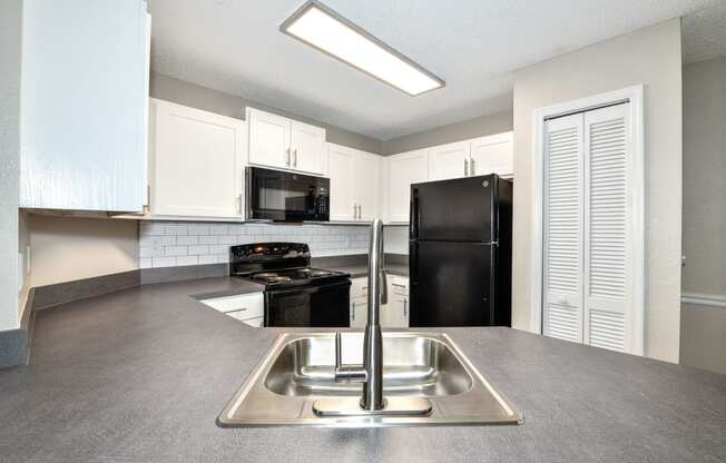 Stainless Steel Sink With Faucet In Kitchen at Paradise Island, Jacksonville, 32256