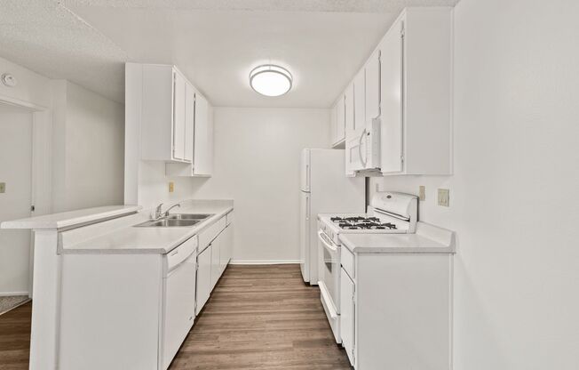 1 bed, 1 bath, 687 sqft, $1,895, Unit 0202